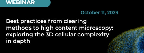 Best practices from clearing methods to high content microscopy: exploring the 3D cellular complexity in depth
