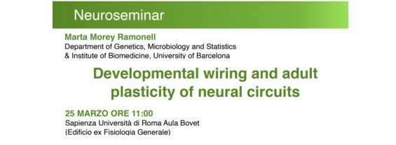 Developmental wiring and adult plasticity of neural circuits - 25 Marzo 2022