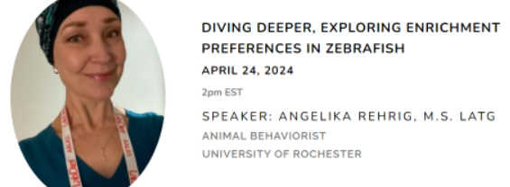 Diving Deeper, Enrichment Preferences in Zebrafish