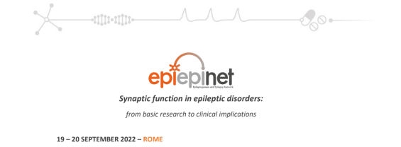 Synaptic function in epileptic disorders: from basic research to clinical implications