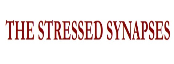 THE STRESSED SYNAPSES - TIZIANA BORSELLO - 23/04/2021