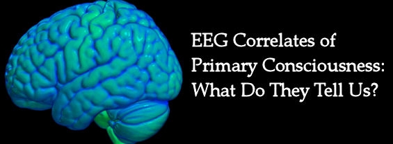 Webinar: "EEG Correlates of Primary Consciousness: What Do They Tell Us?" - 31 Gennaio 2024