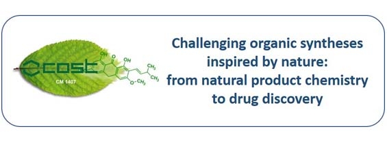 Challenging organic syntheses inspired by nature: from natural product chemistry to drug discovery