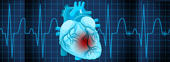 illustrazione di un cuore su uno sfondo blu con un tracciato ecg