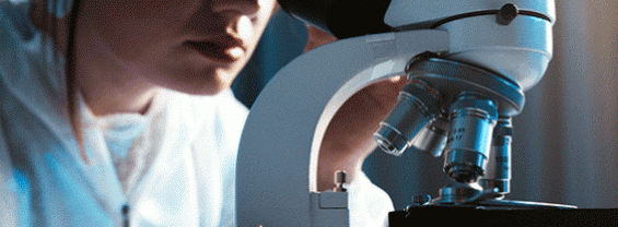 Una ricercatrice usa un microscopio per osservare