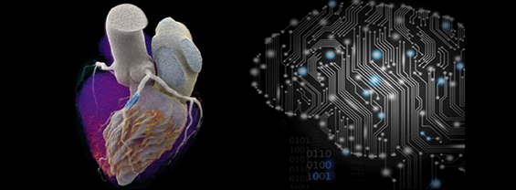 Sezioni del cuore e schema di un microchip a forma di cervello