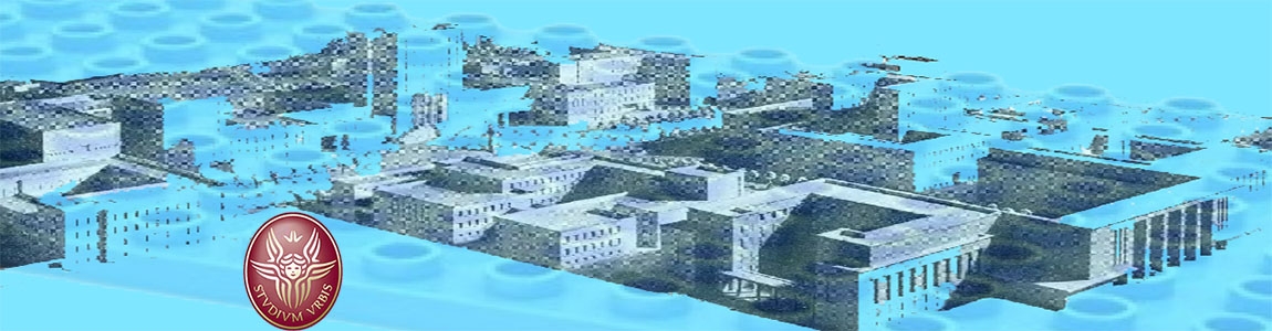 Piantina 3D della Città Universitaria della Sapienza su di una base trasparente della struttura Lego