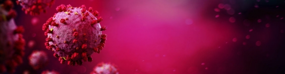 Due nuovi studi della Sapienza hanno scoperto che le infezioni severe causate dal nuovo Coronavirus sono associate all’elevata pro