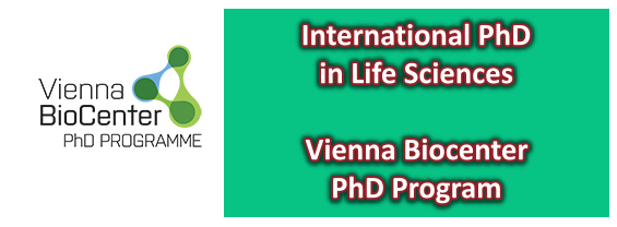 Vienna Biocenter PhD Program - Deadline 15 November