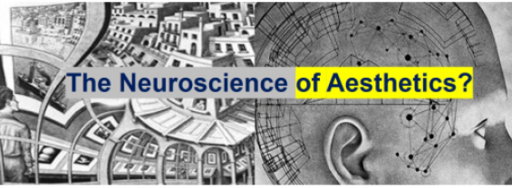 The Neuroscience of Aesthetics?