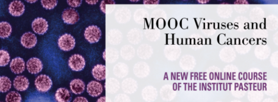 Viruses and Human Cancers MOOC of the Institut Pasteur