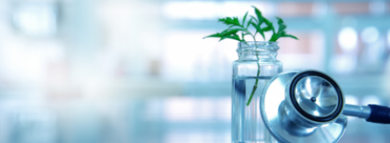 6 Aprile 2022 - I prodotti naturali come risorsa nella scoperta di nuovi farmaci: dalla ricerca di base alla fase clinica di sperimentazione
