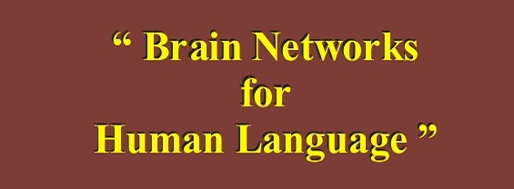 Seminario “Brain Networks for Human Language”