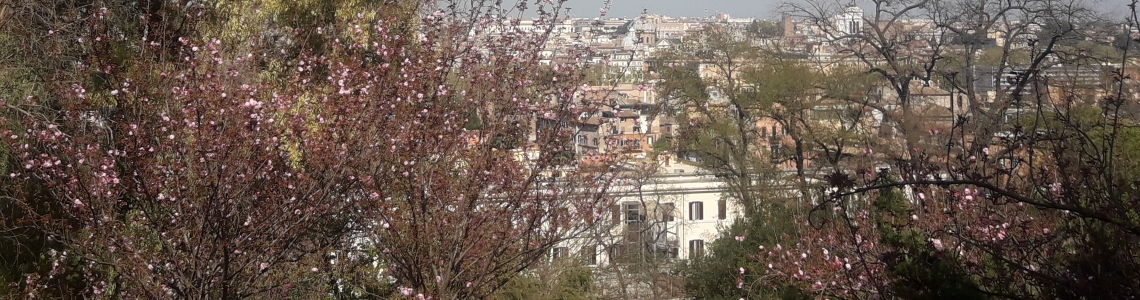 Orto botanico corsi di giardinaggio, foto dei ciliegi in fiore con panorama su Roma