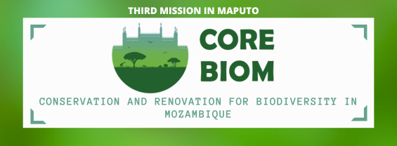 Terza missione del PMS in Mozambico - progetto COREBIOM