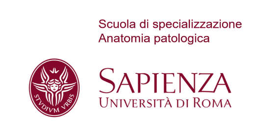 Logo Scuola di specializzazione Anatomia Patologica