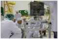 Integration of tigrisat at clean room in Russia